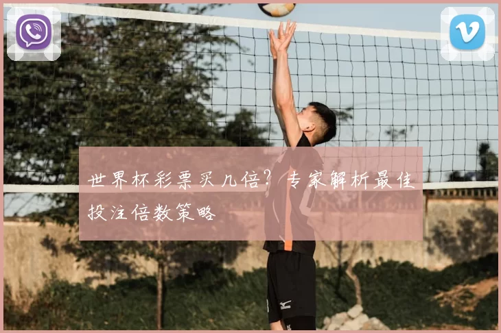世界杯彩票买几倍？专家解析最佳投注倍数策略
