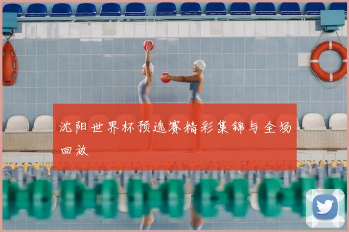 沈阳世界杯预选赛精彩集锦与全场回放