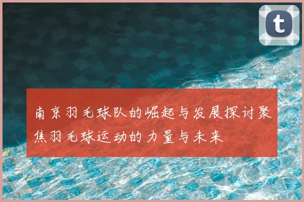 南京羽毛球队的崛起与发展探讨聚焦羽毛球运动的力量与未来