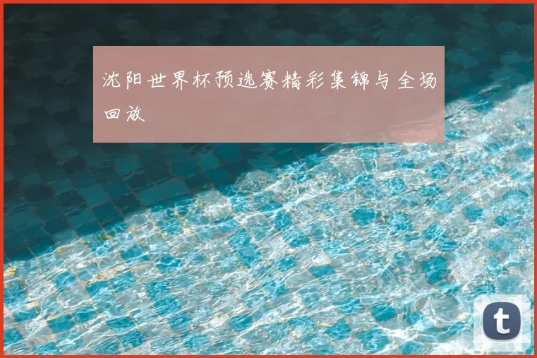 沈阳世界杯预选赛精彩集锦与全场回放