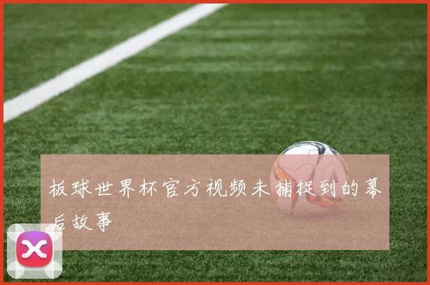 板球世界杯官方视频未捕捉到的幕后故事