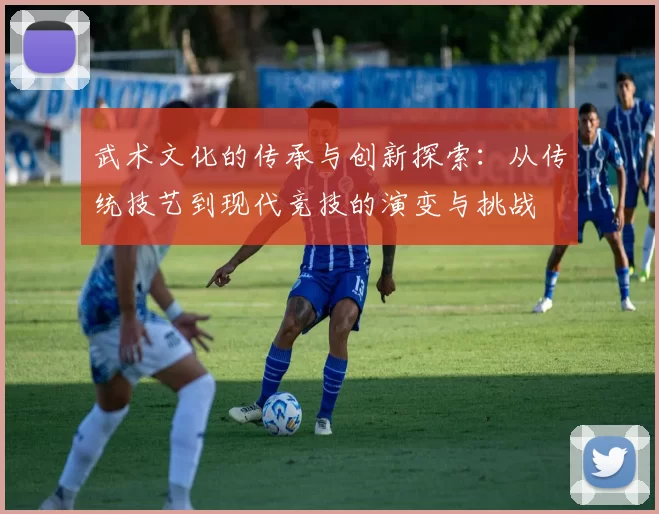 武术文化的传承与创新探索：从传统技艺到现代竞技的演变与挑战