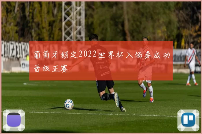 葡萄牙锁定2022世界杯入场券成功晋级正赛