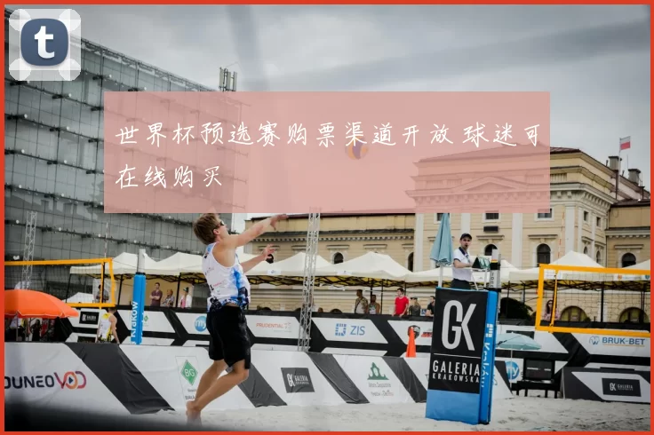 世界杯预选赛购票渠道开放 球迷可在线购买