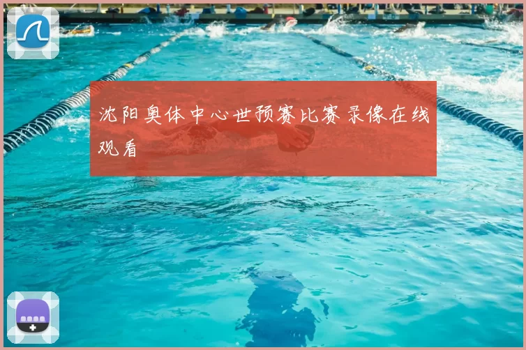沈阳奥体中心世预赛比赛录像在线观看