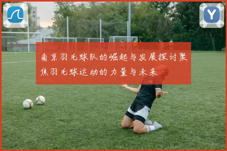 南京羽毛球队的崛起与发展探讨聚焦羽毛球运动的力量与未来