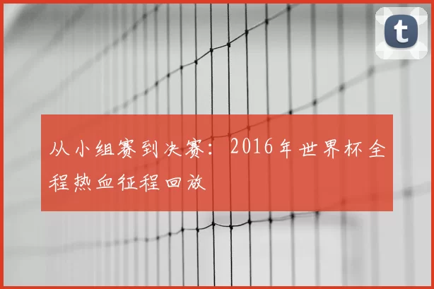 从小组赛到决赛:2016年世界杯全程热血征程回放