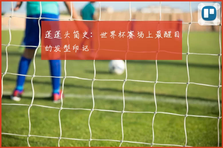 蓬蓬头简史:世界杯赛场上最醒目的发型印记