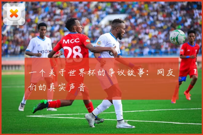 一个关于世界杯的争议故事：网友们的真实声音