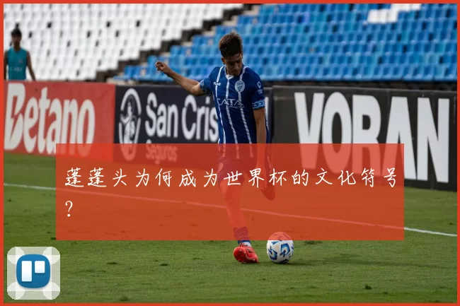 蓬蓬头为何成为世界杯的文化符号？