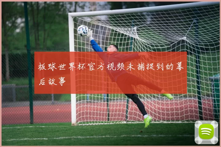 板球世界杯官方视频未捕捉到的幕后故事