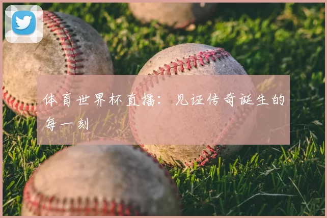 体育世界杯直播：见证传奇诞生的每一刻