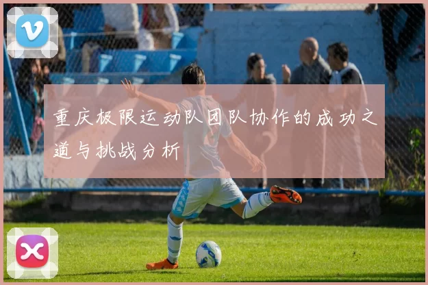 重庆极限运动队团队协作的成功之道与挑战分析