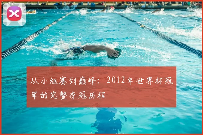 从小组赛到巅峰：2012年世界杯冠军的完整夺冠历程