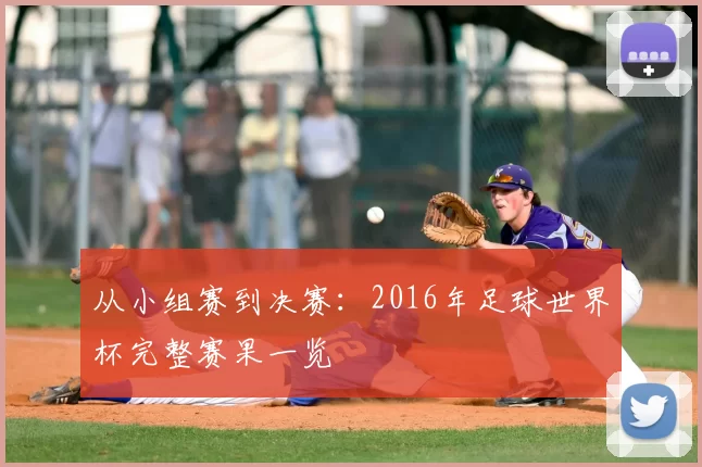 从小组赛到决赛:2016年足球世界杯完整赛果一览