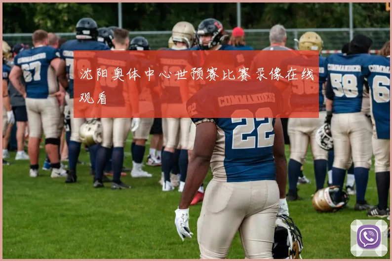 沈阳奥体中心世预赛比赛录像在线观看