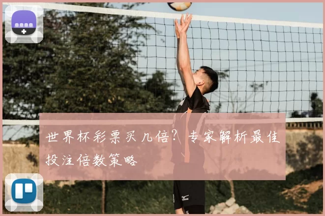 世界杯彩票买几倍？专家解析最佳投注倍数策略