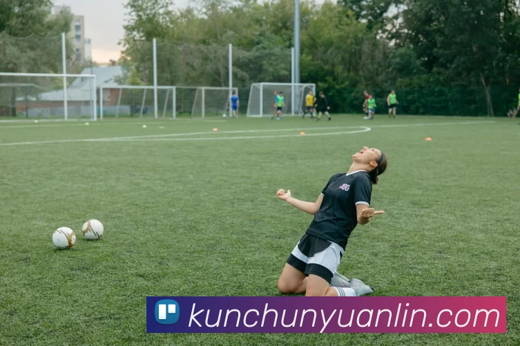 App Interface Preview