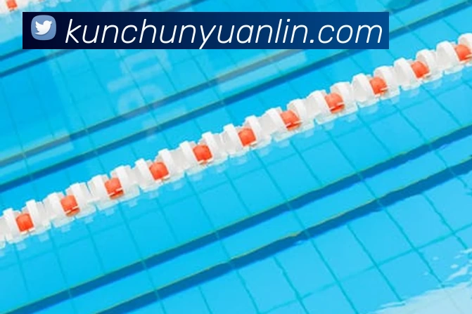 星空体育APP 封面图